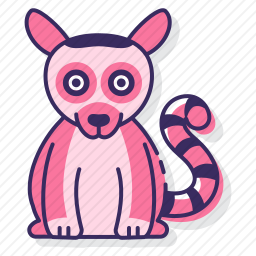 狐猴