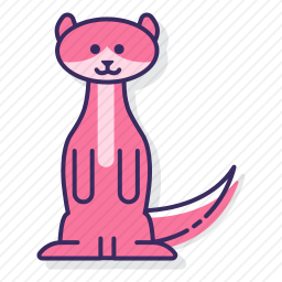 <em>水獭</em>
