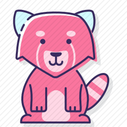 小熊猫