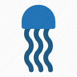 水母