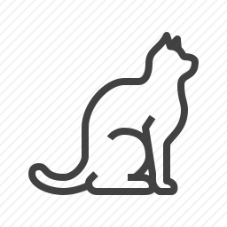 猫