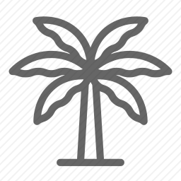 椰子树