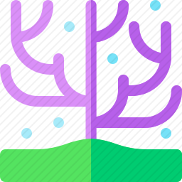珊瑚