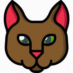 猫