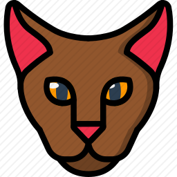 猫