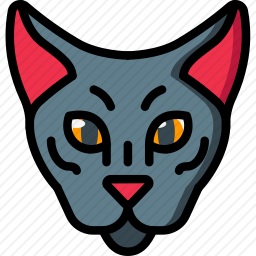 猫
