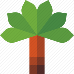 棕榈树