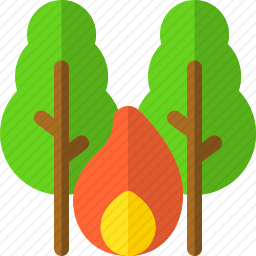 <em>燃烧</em><em>树</em>