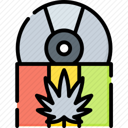 <em>光盘</em>