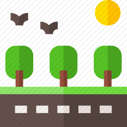 路
