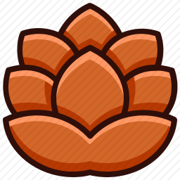 麦芽