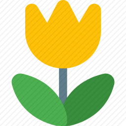 微距