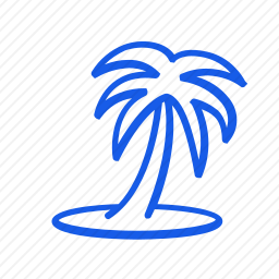 <em>棕榈树</em>