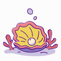 贝壳