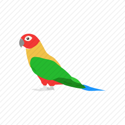 <em>鹦鹉</em>