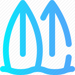冲浪板