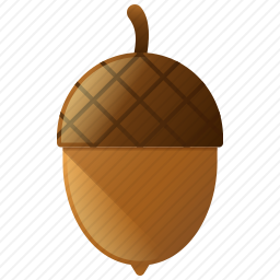 <em>橡子</em>