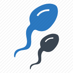 精子