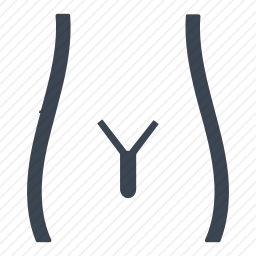 阴茎