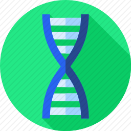 DNA