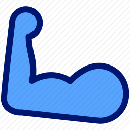 肱二头肌