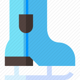 <em>溜冰鞋</em>