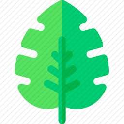 <em>叶子</em>