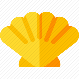 <em>贝壳</em>