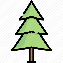 <em>冷杉</em>