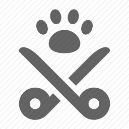 <em>剪刀</em>