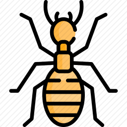 <em>白蚁</em>