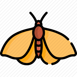 <em>蝴蝶</em>
