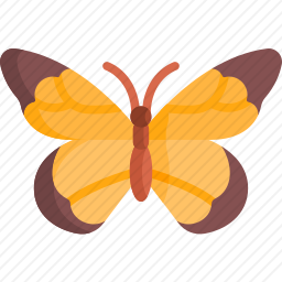 蝴蝶