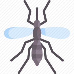 <em>蚊子</em>