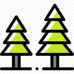<em>松树</em>