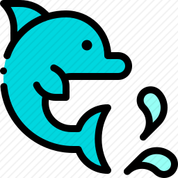 海豚