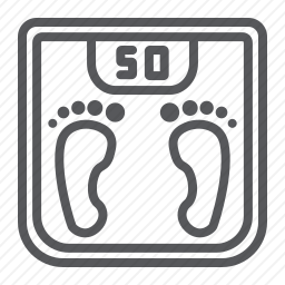 <em>体重秤</em>