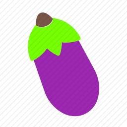<em>茄子</em>