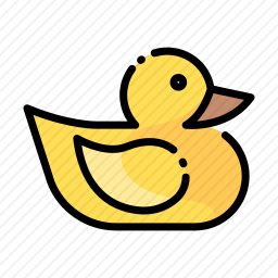 鸭子