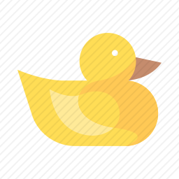 鸭子