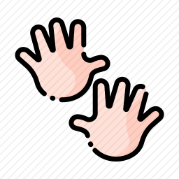 手掌
