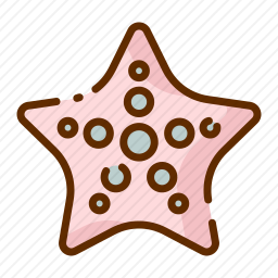 海星