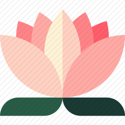 莲花