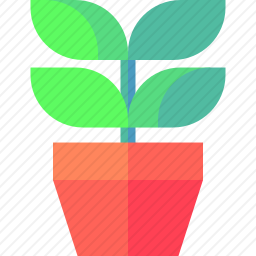 植物