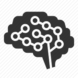 <em>大脑</em>