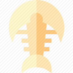 化石