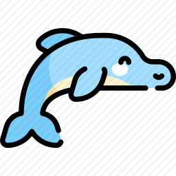 海豚