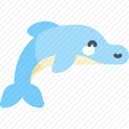 海豚