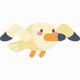 海鸥