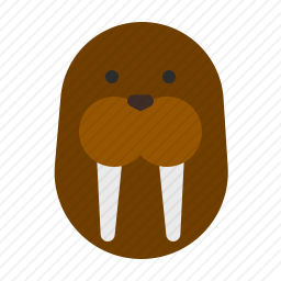 海豹